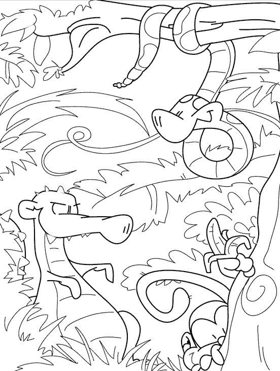 Zoo #9989