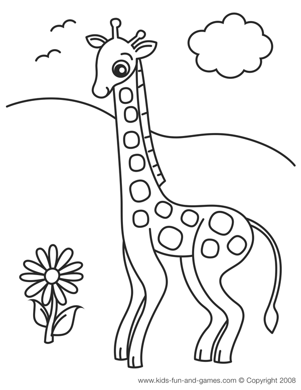 Zoo #9993