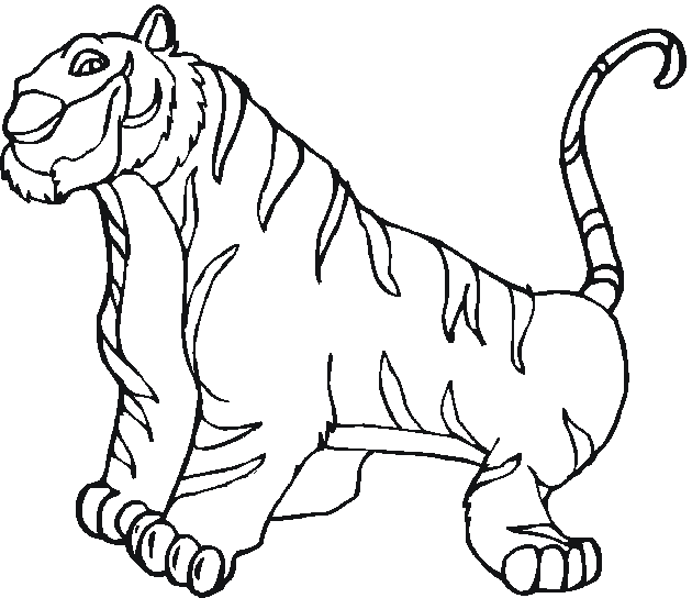 Zoo #9996