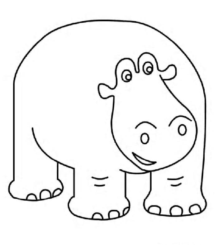 Zoo #9999