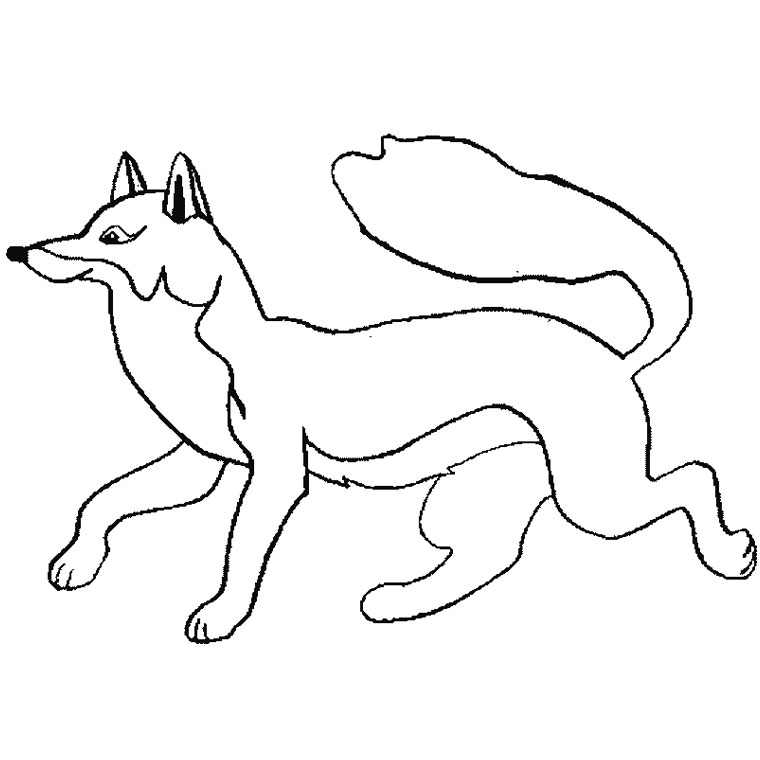 Zorro #10079