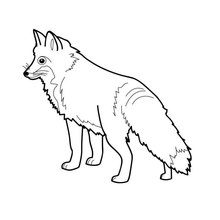 Zorro #10095