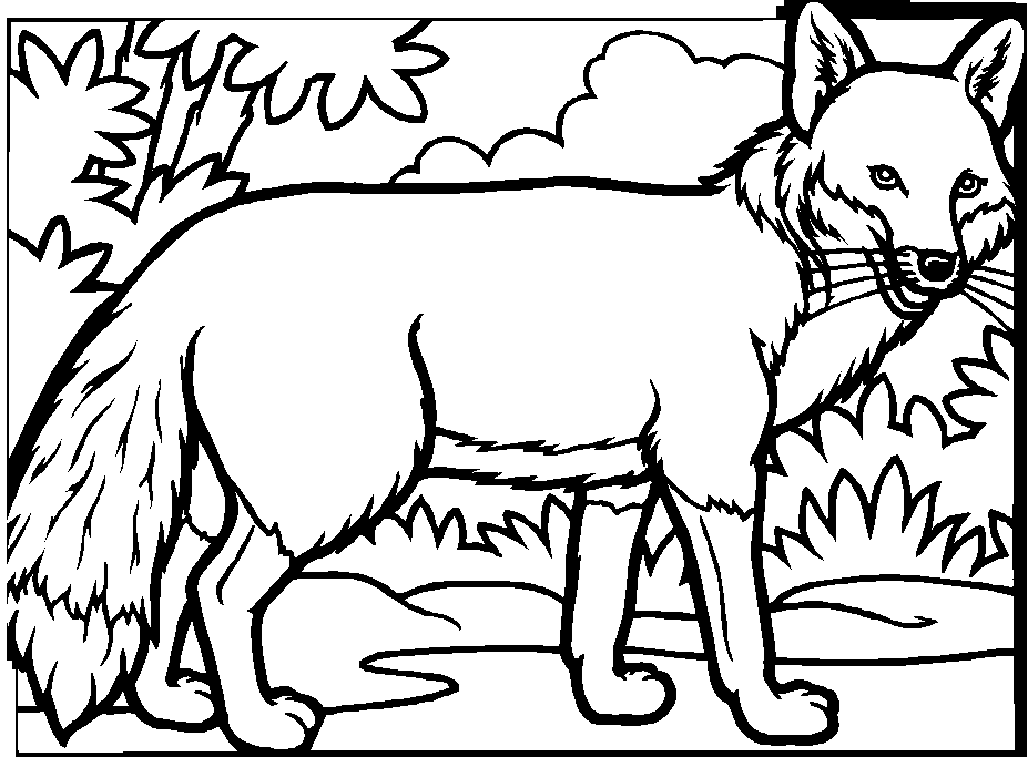 Zorro #10103