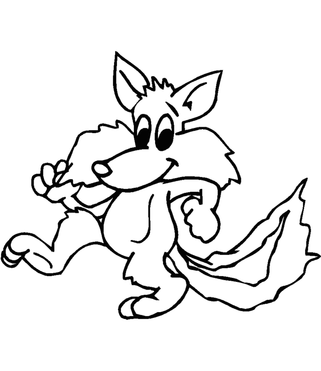 Zorro #10107