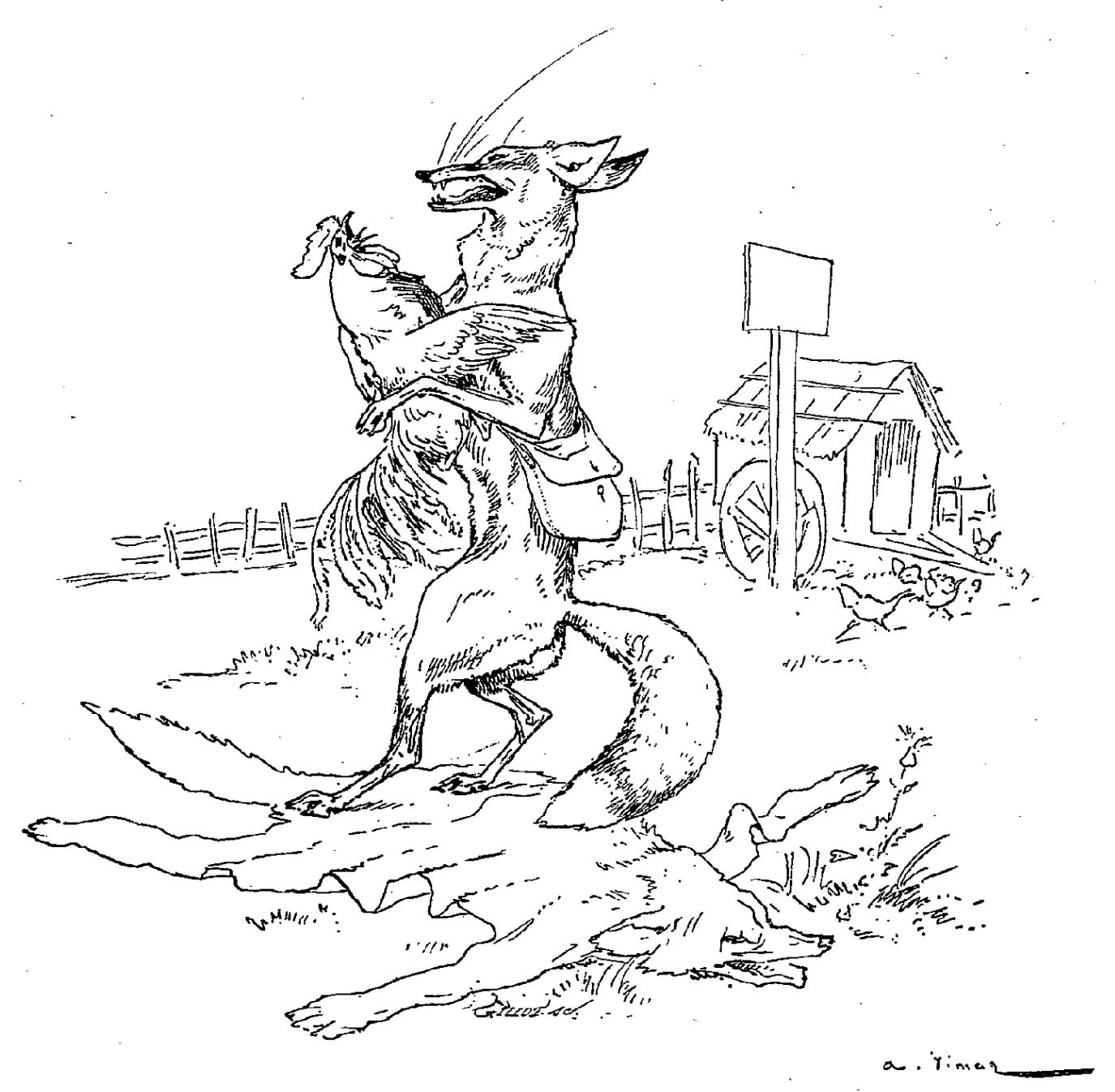 Zorro #10123