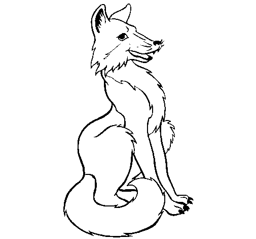 Zorro #10130