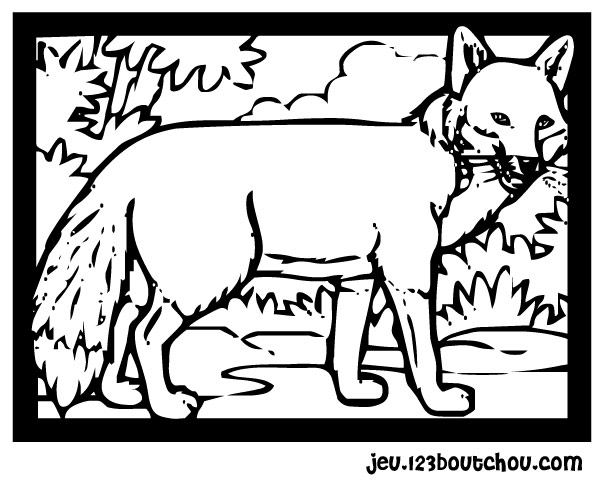 Zorro #10140