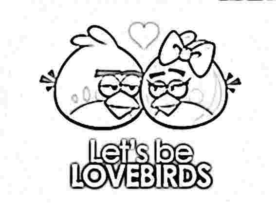 Angry Birds #10384