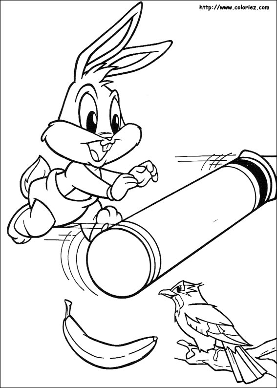 Baby Looney Tunes #10864