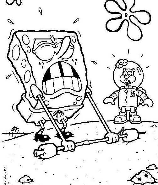 Bob Esponja #12075