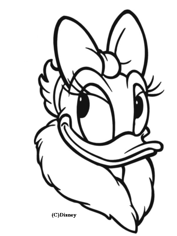 El pato Donald #13372