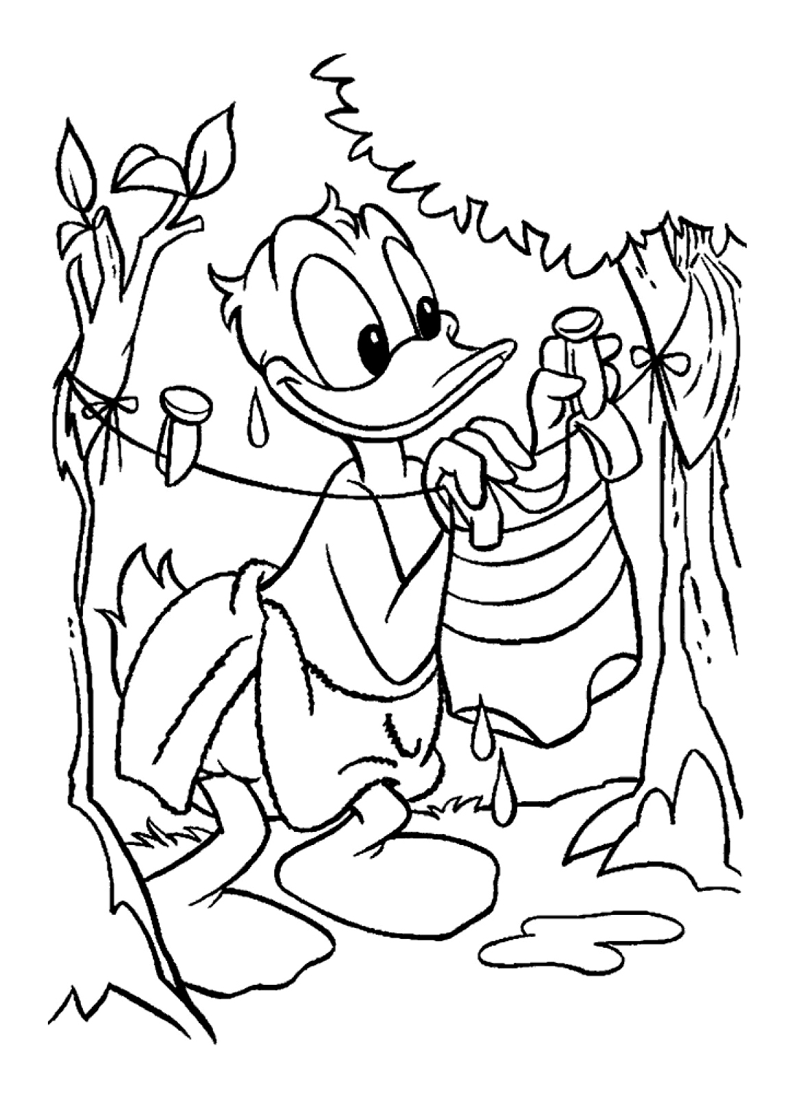El pato Donald #13421