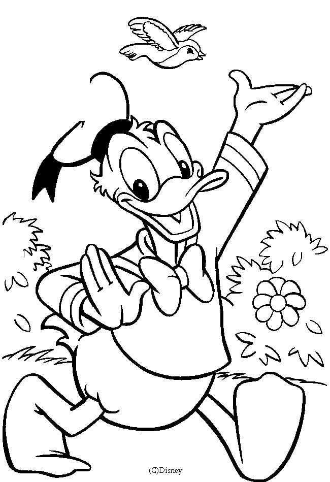 El pato Donald #13478