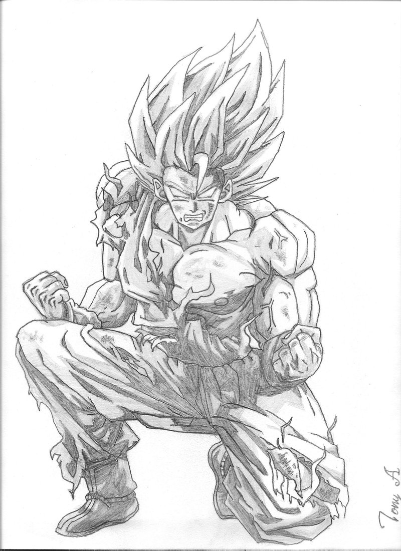 Dragon Ball Z #13936