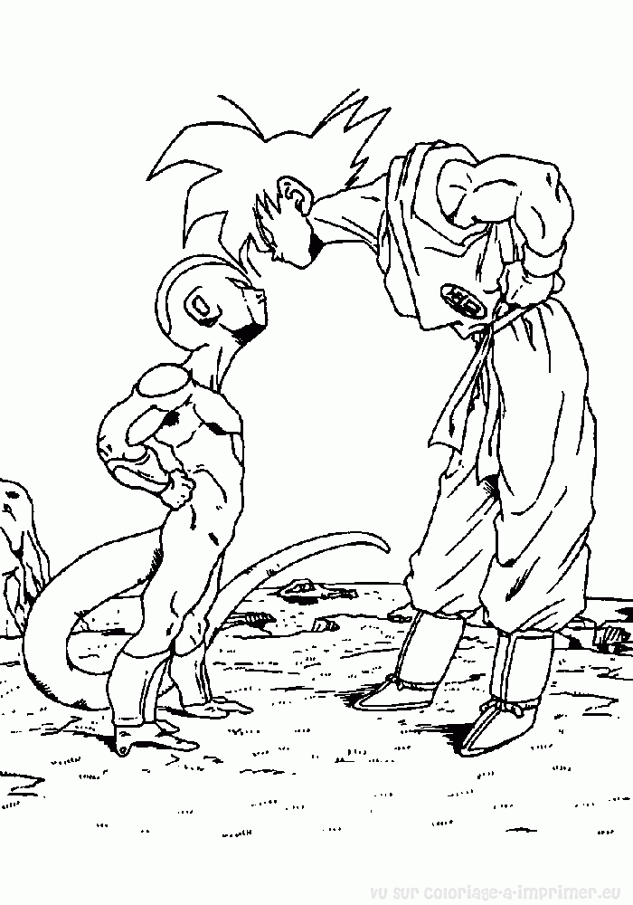 Dibujo de Dragon Ball Z para colorear y pintar #13938