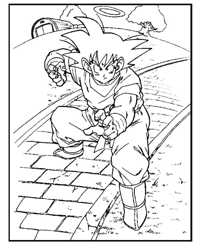 Dragon Ball Z #13979