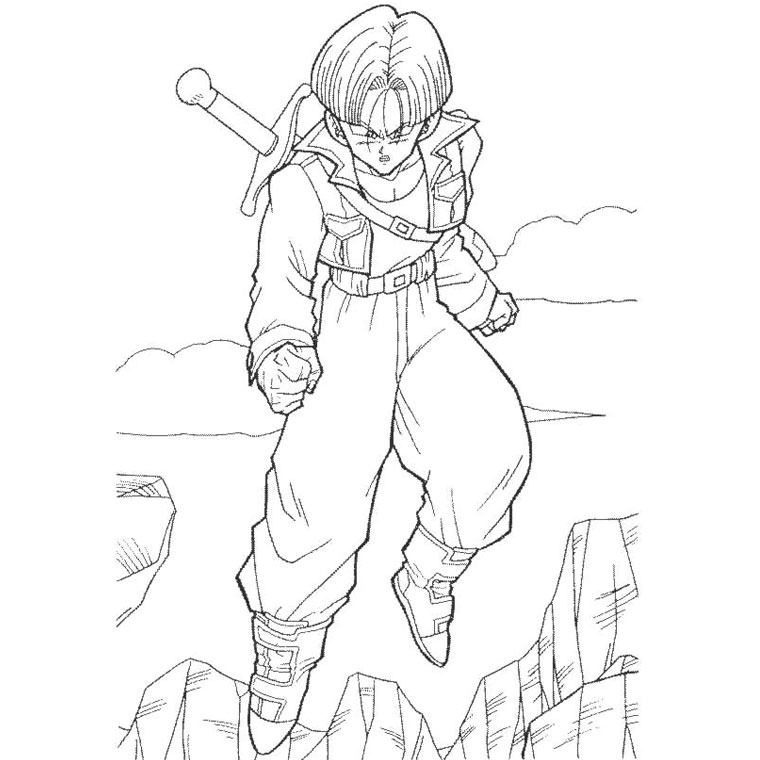 Dragon Ball Z #14005