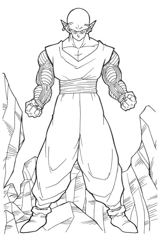 Dragon Ball Z #14029