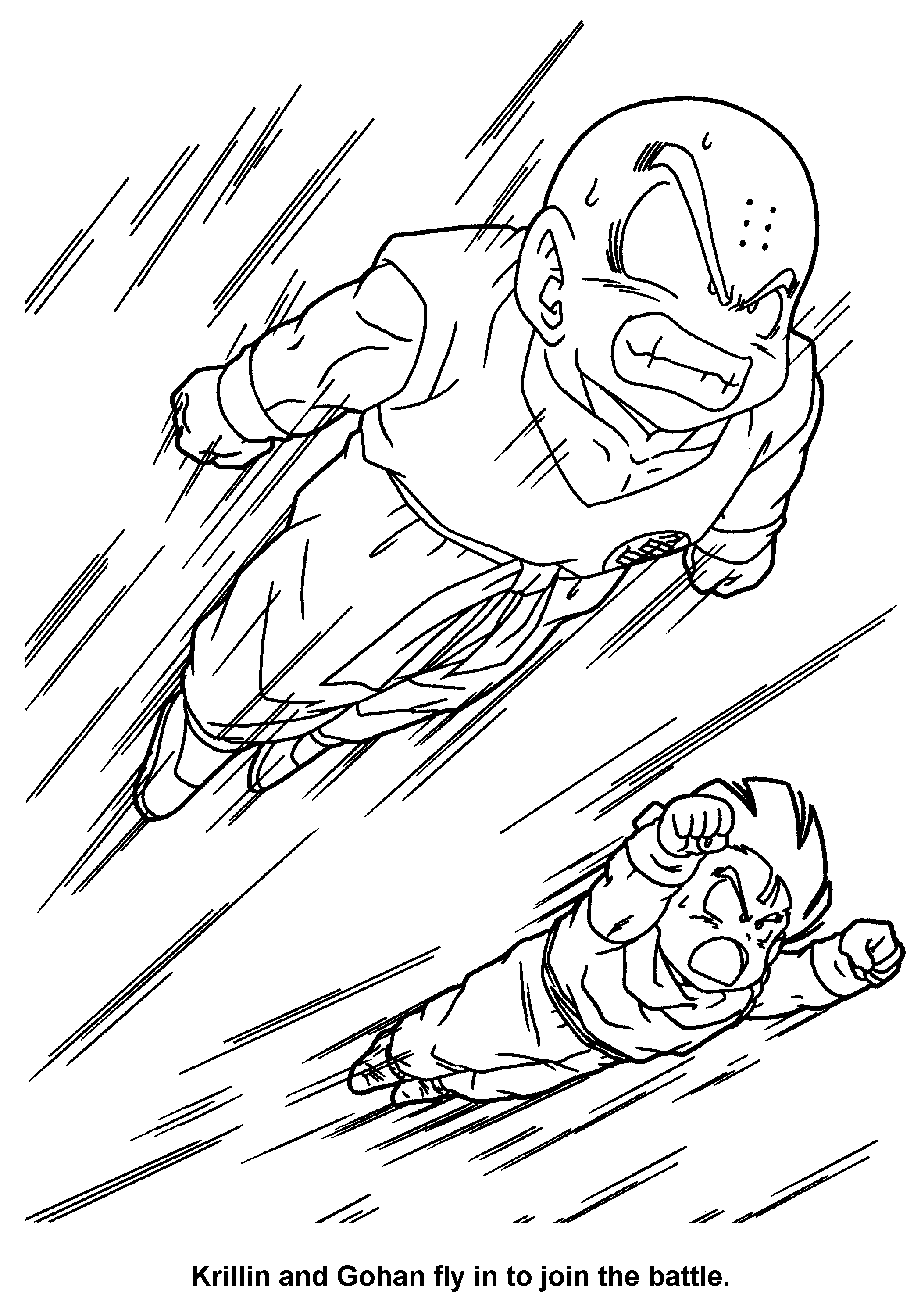 Dragon Ball Z #14034