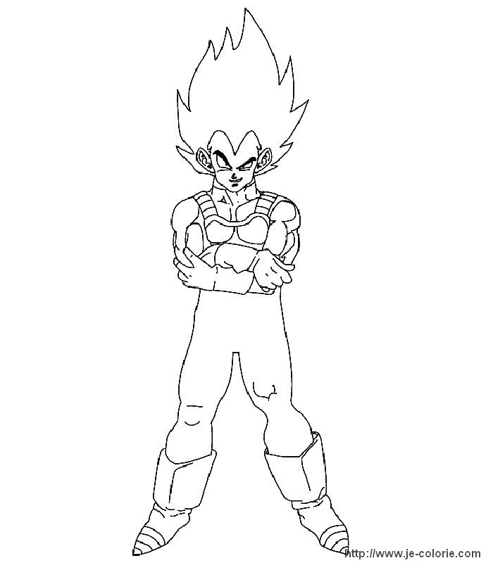 Dragon Ball Z #14035