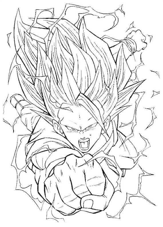 Dragon Ball Z #14036