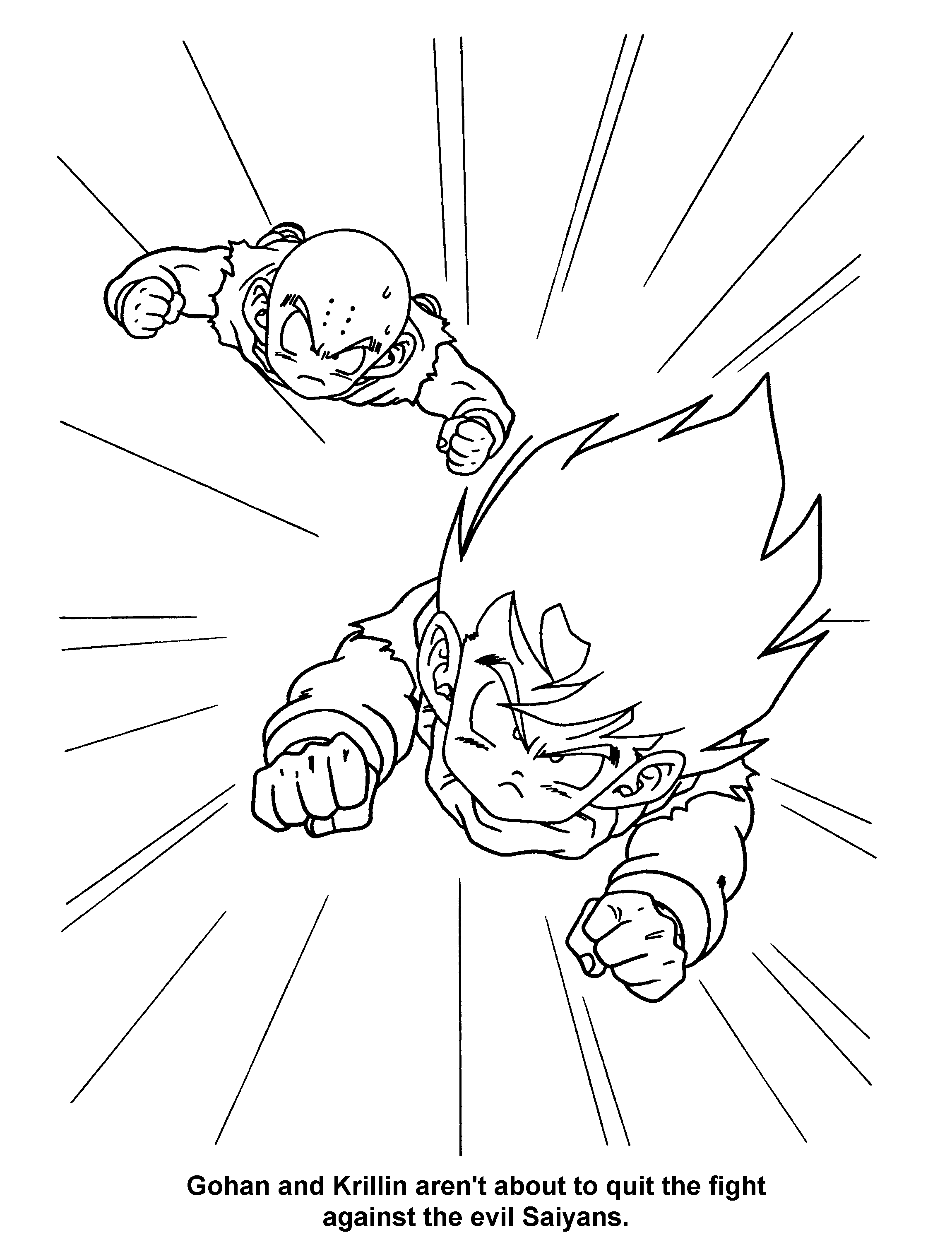 Dragon Ball Z #14069