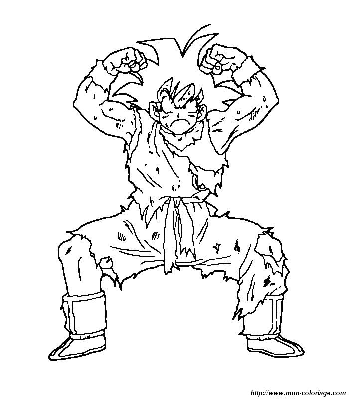 Dragon Ball Z #14070