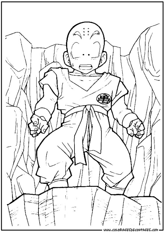 Dragon Ball Z #14086