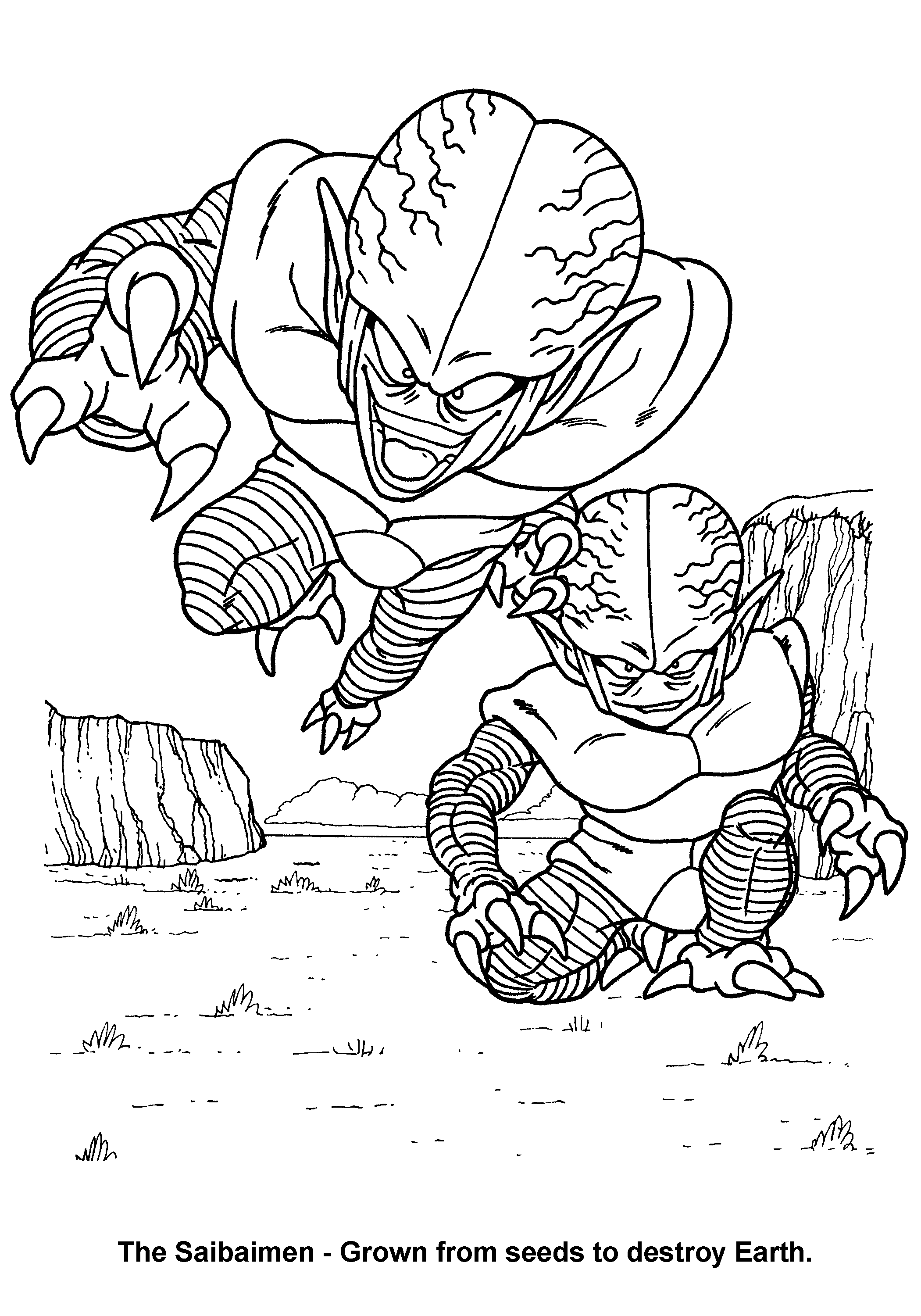 Dragon Ball Z #14094