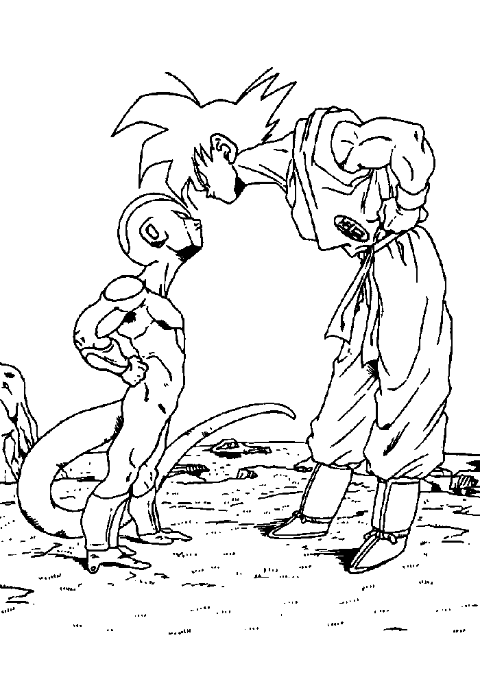 Dragon Ball Z #14119