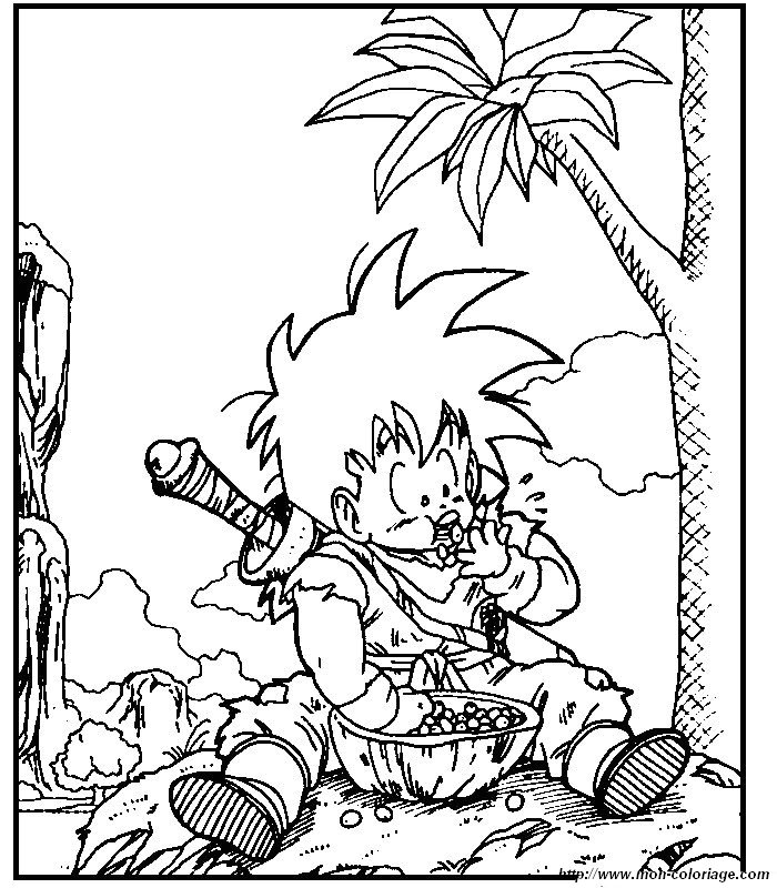 Dragon Ball Z #14145