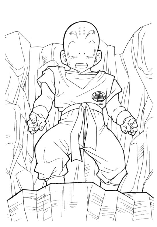 Dragon Ball Z #14184