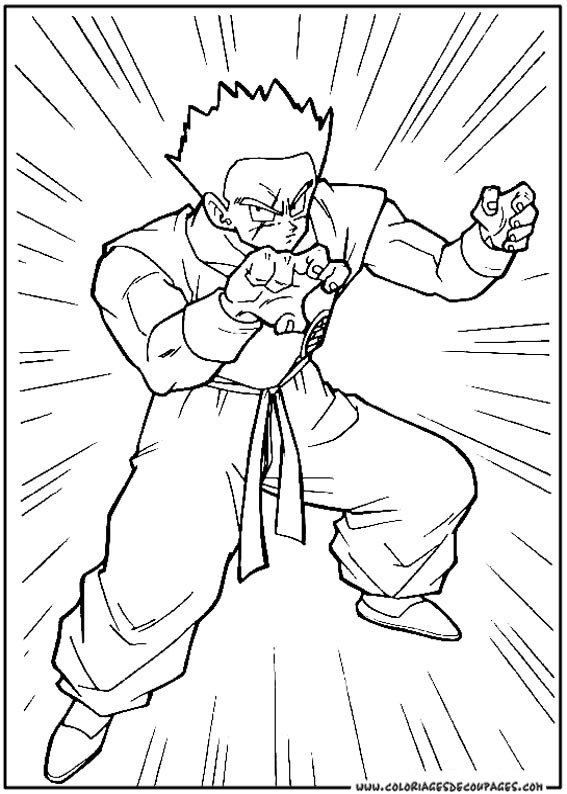 Dragon Ball Z #14191