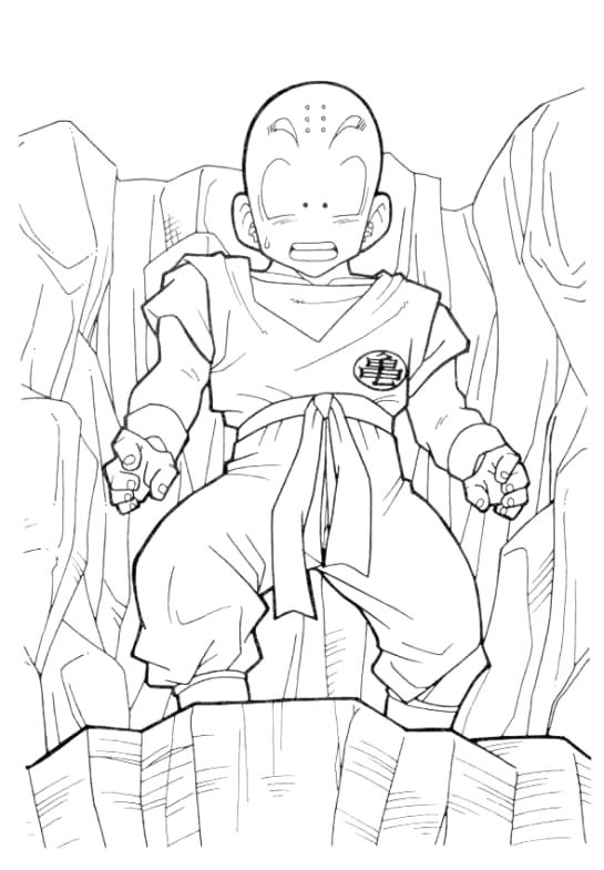 Dragon Ball Z #14205
