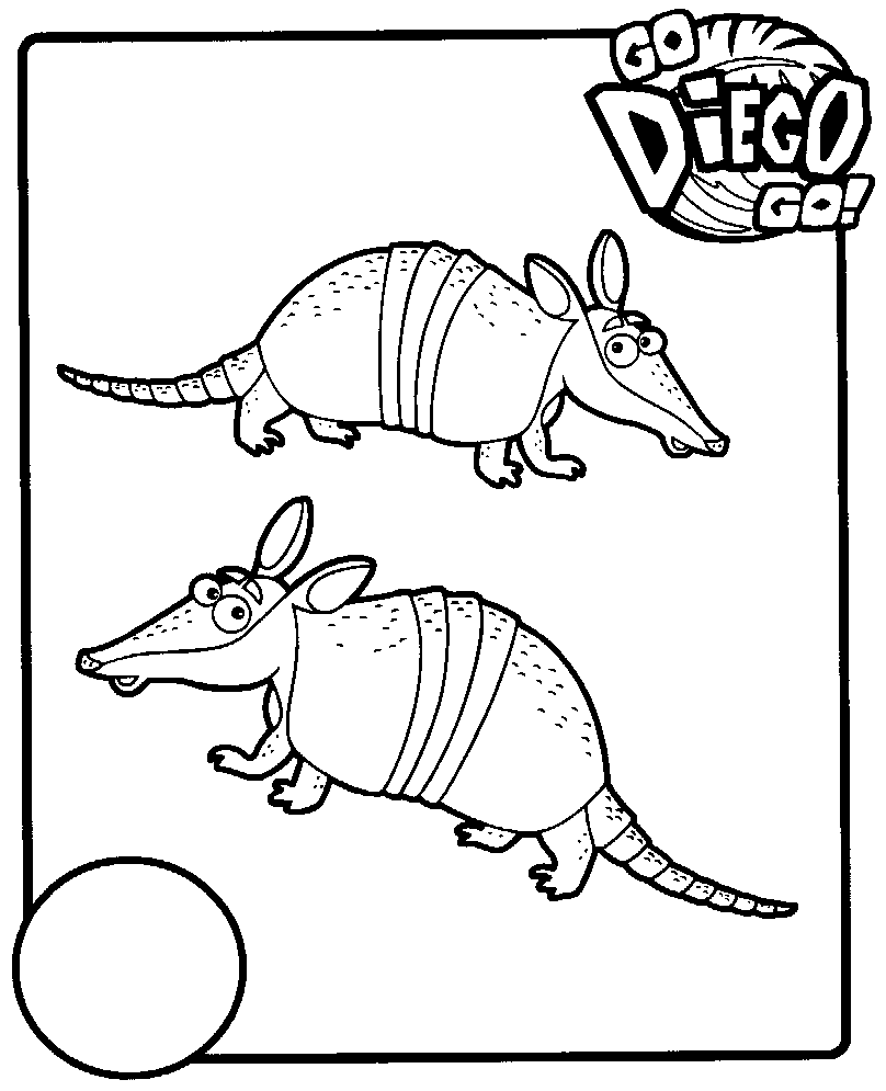 Go, Diego, Go! #14715