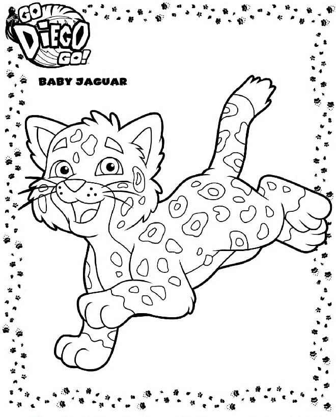 Go, Diego, Go! #14716