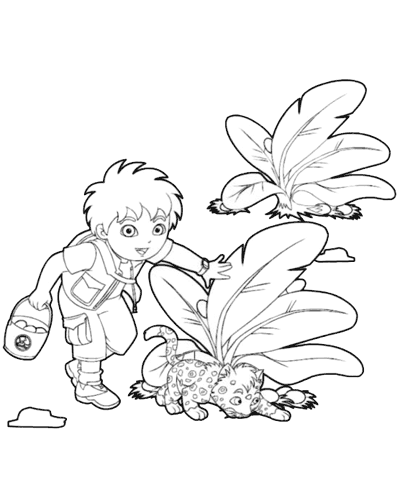 Go, Diego, Go! #14724