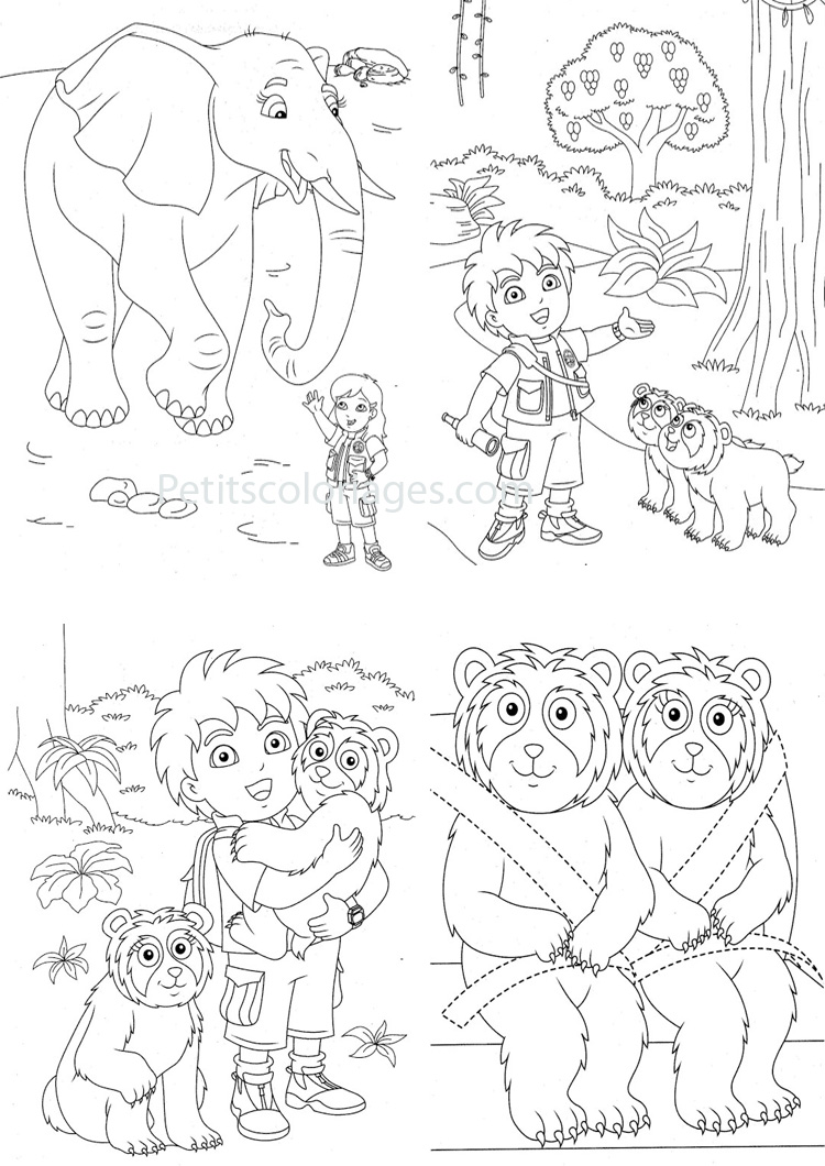 Go, Diego, Go! #14738