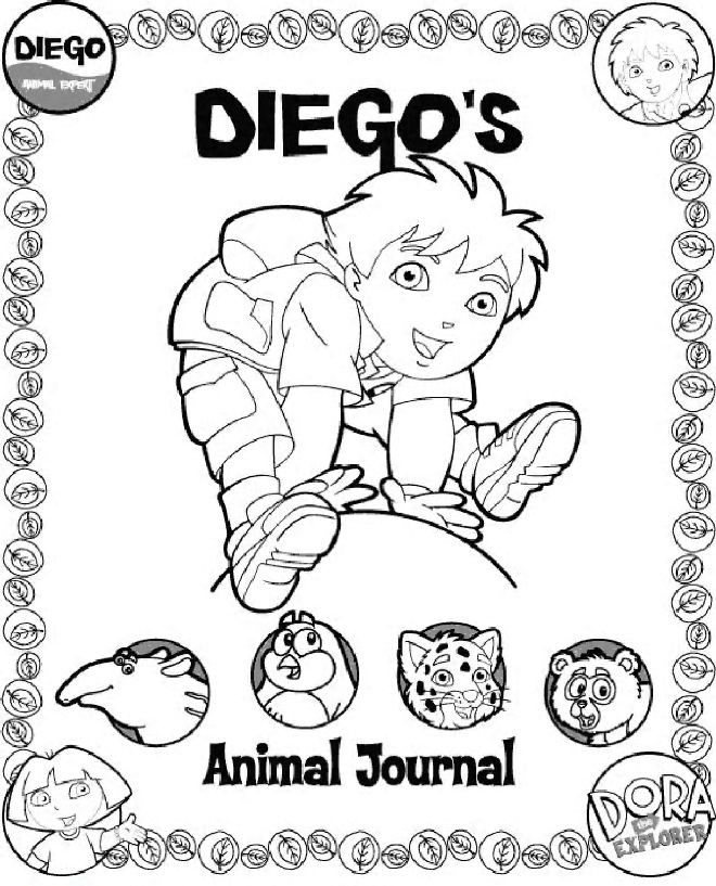 Go, Diego, Go! #14741