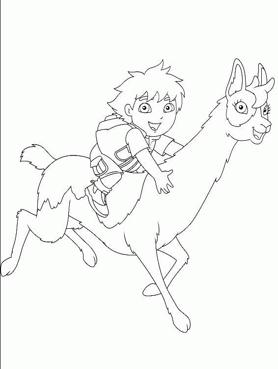 Go, Diego, Go! #14752
