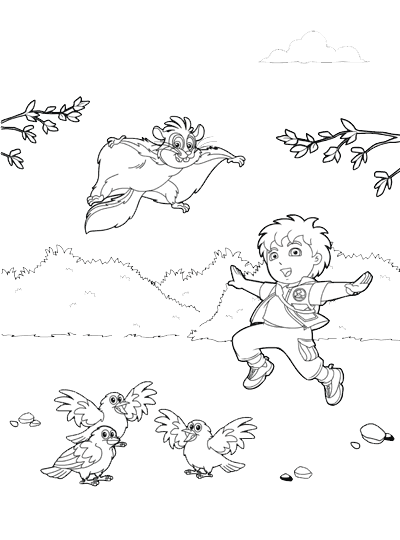 Go, Diego, Go! #14763