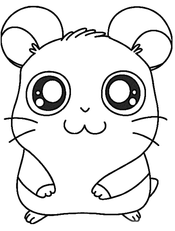 Hamtaro #14804