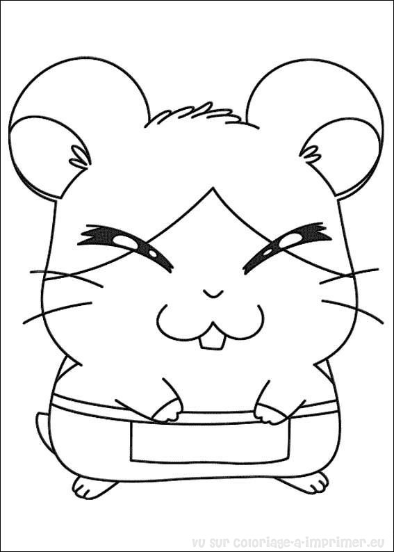 Hamtaro #14818