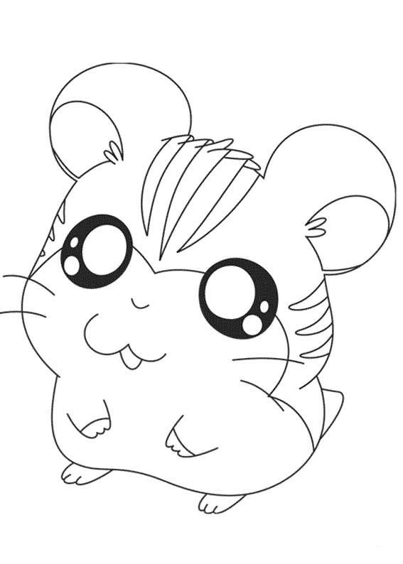 Hamtaro #14834