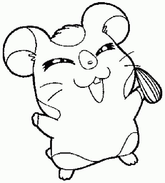Hamtaro #14842