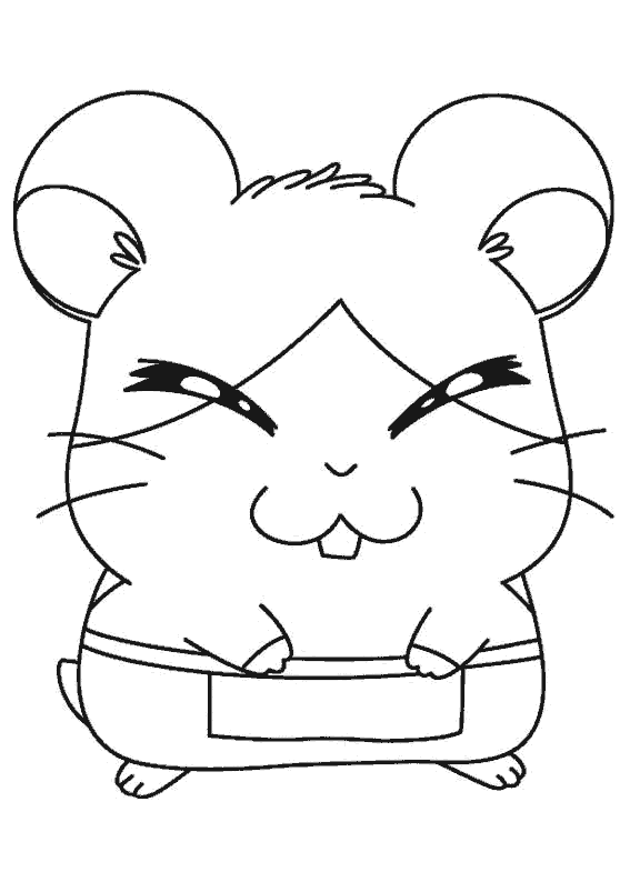 Hamtaro #14843