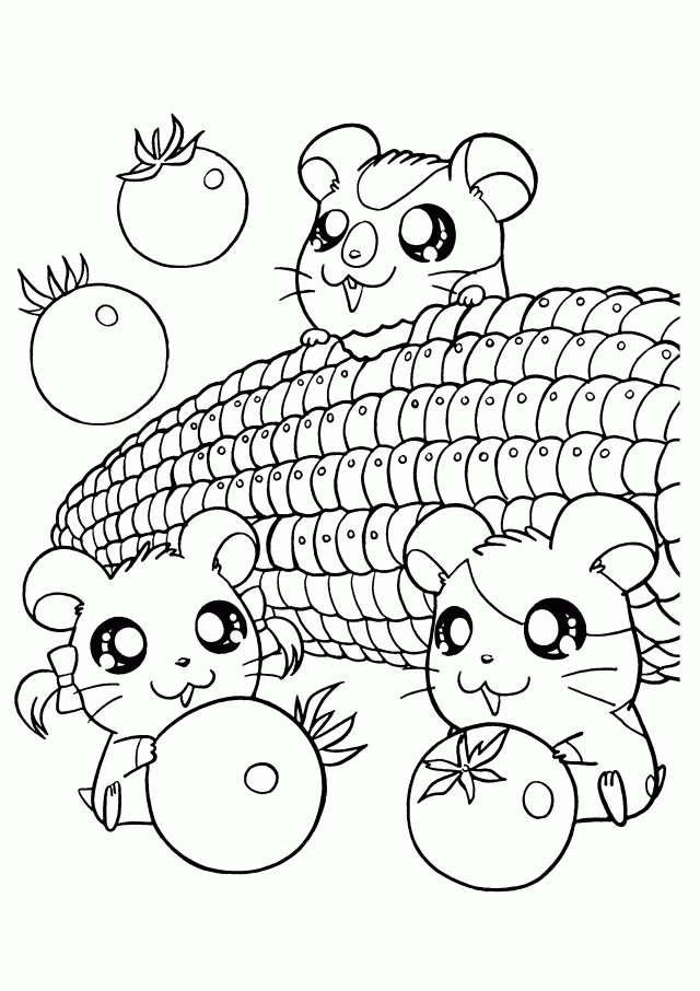 Hamtaro #14856