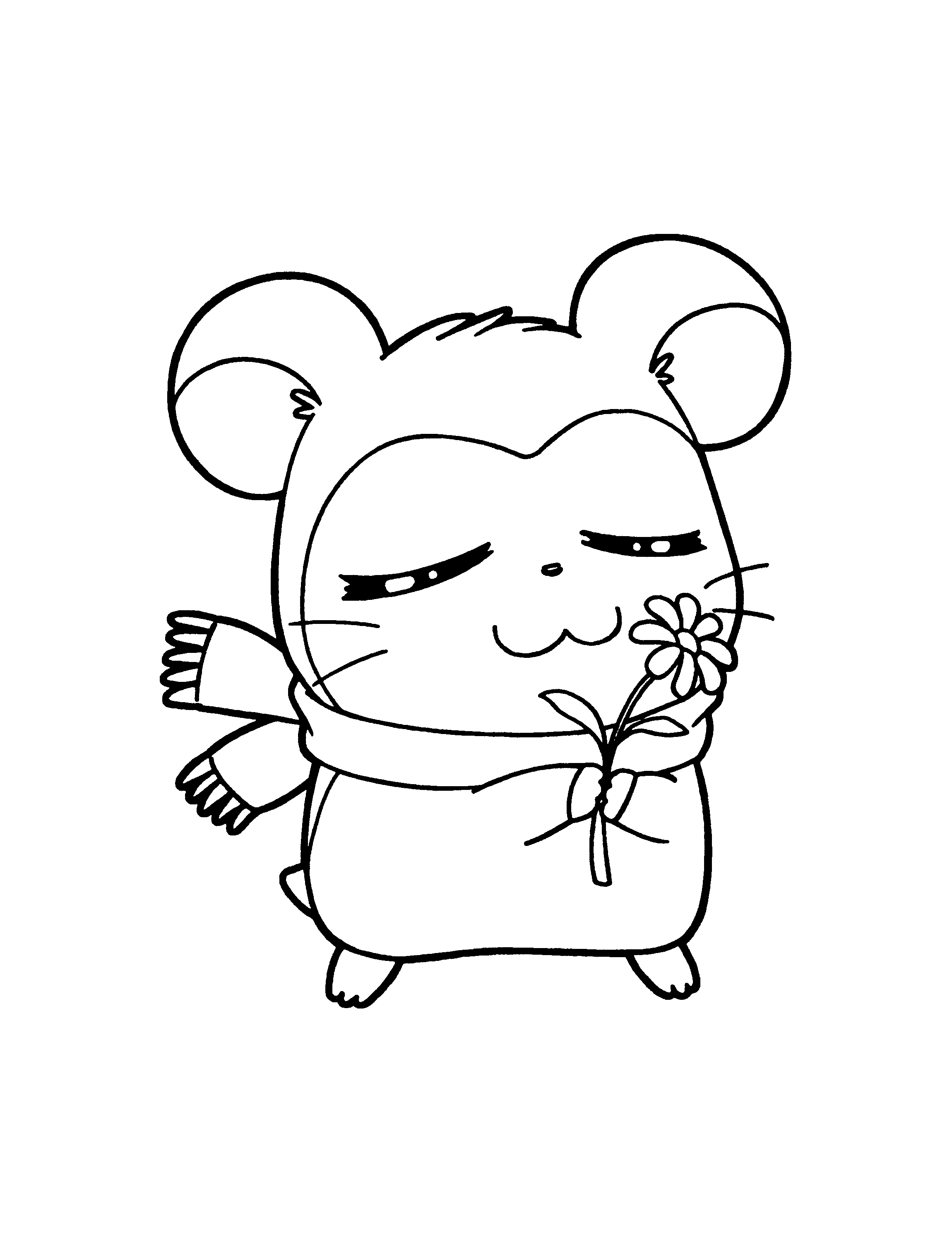 Hamtaro #14862