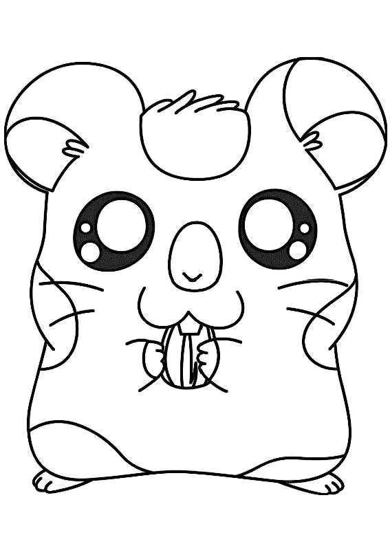 Hamtaro #14865