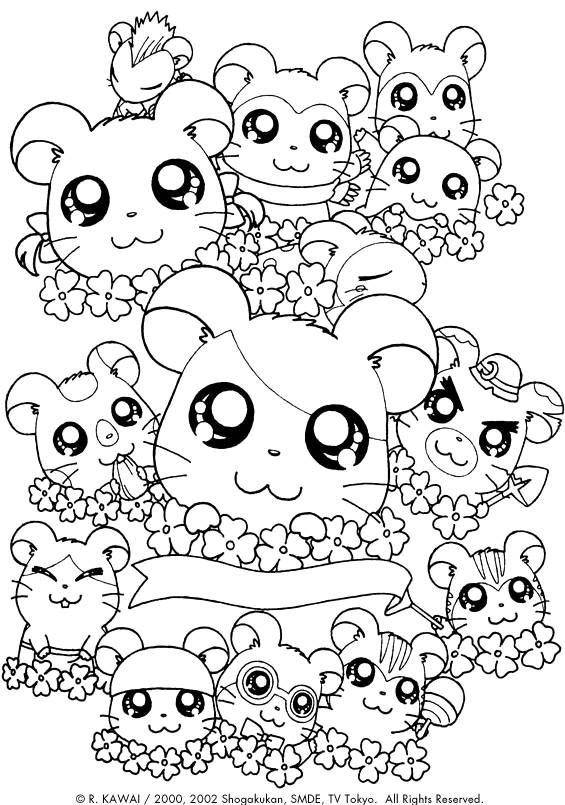 Hamtaro #14894